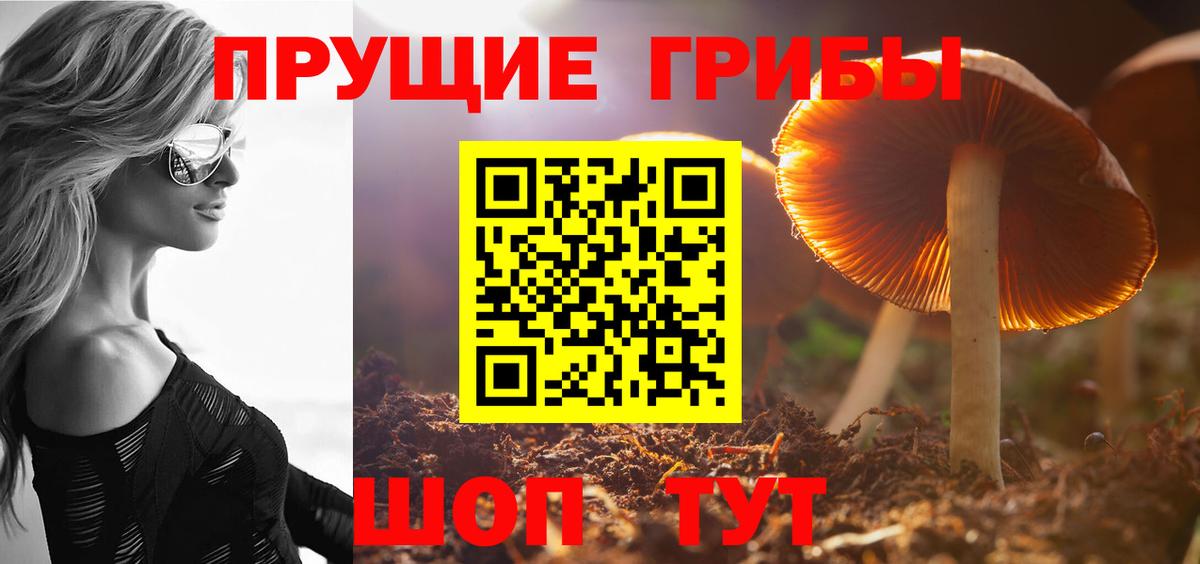 Галлюциногенные грибы прущие грибы Конаково